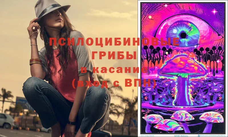 Галлюциногенные грибы Magic Shrooms  MEGA вход  Сретенск 